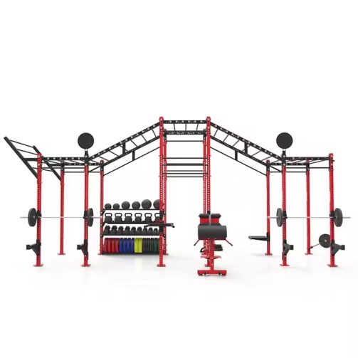 Wall Mounted Folding Squat Rack