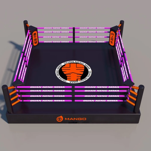 Training Boxing Ring