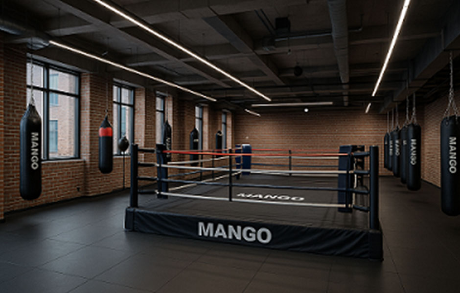 Paris Boxing Hub