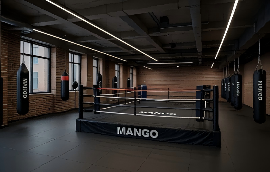Boxing Gym Customization