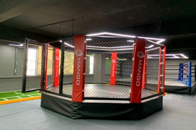 Mango Octagon Mma Cage: Top Quality, Professional Performance