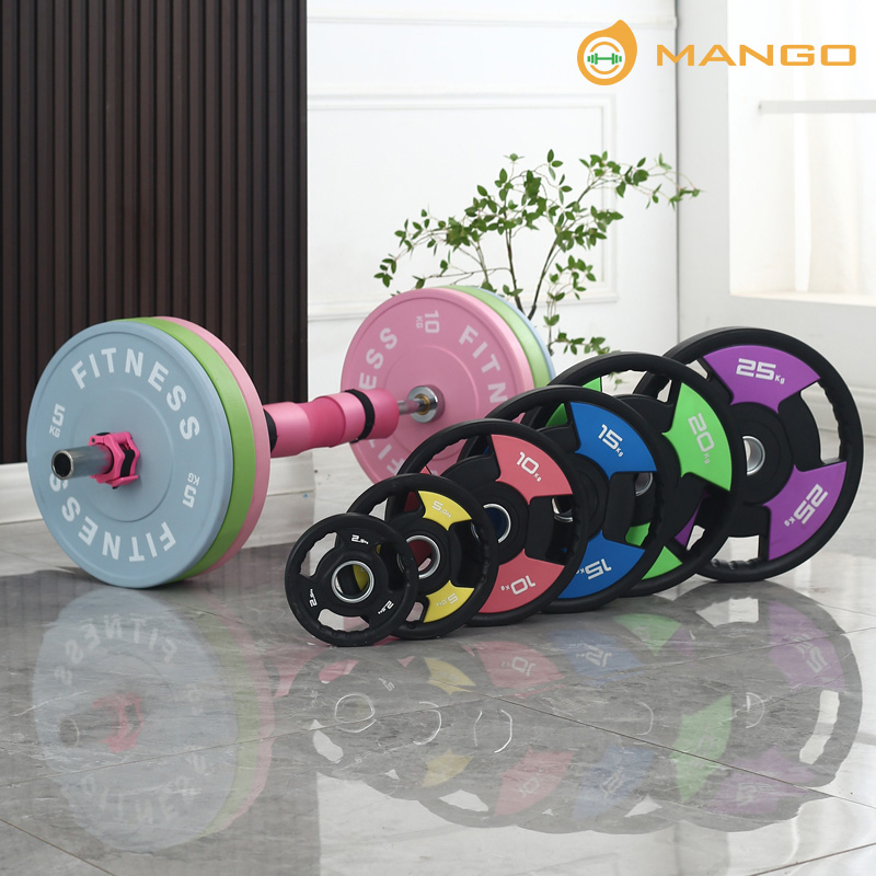 Colorful Barbell Plates For Gym Gym accessories for weightlifting and strength training